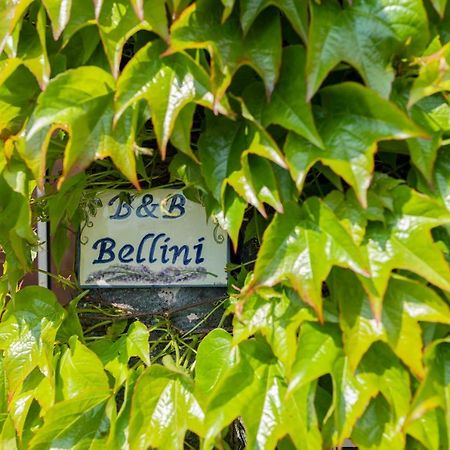B&B Bellini มีโล ภายนอก รูปภาพ