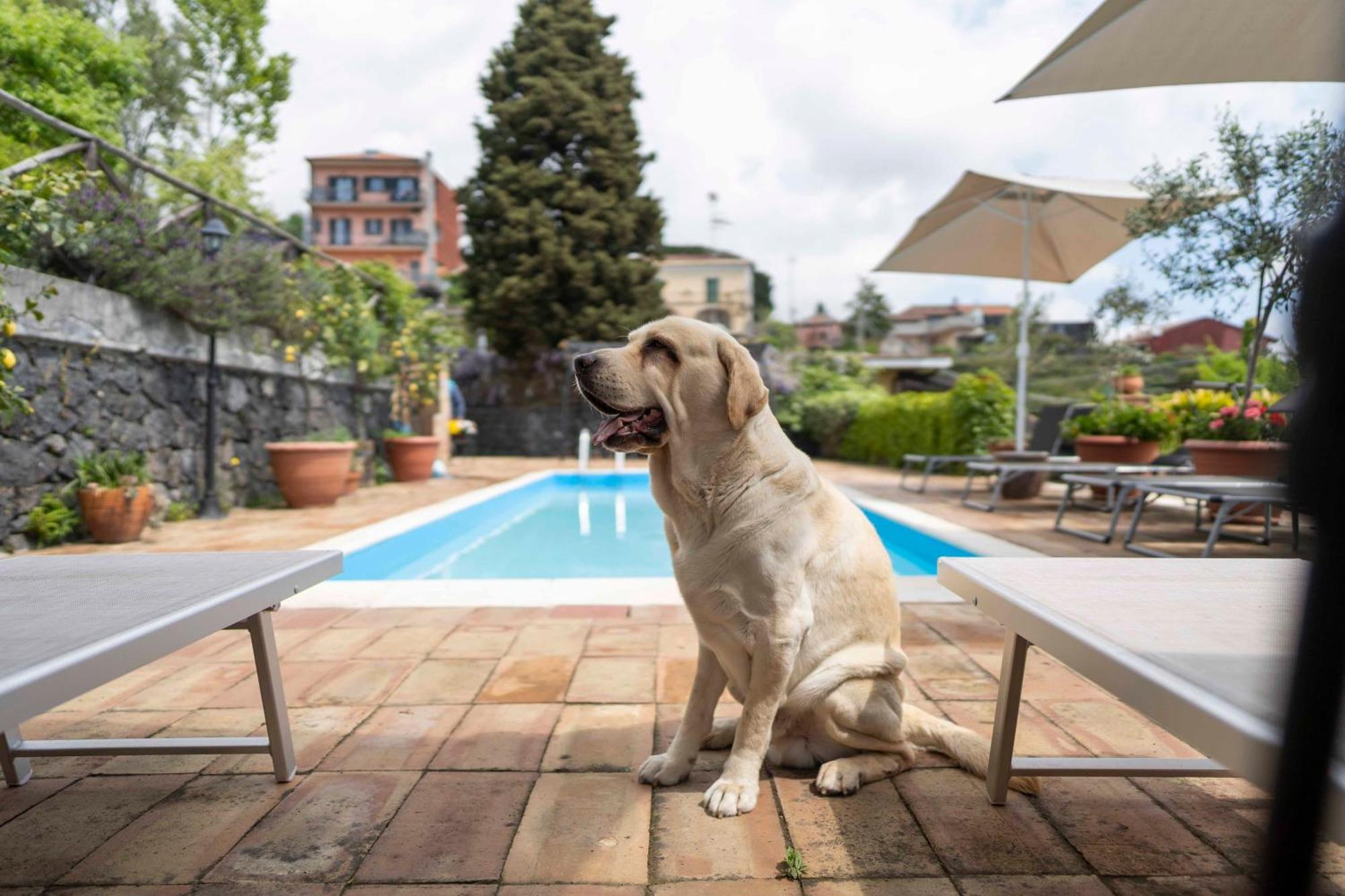 B&B Bellini มีโล ภายนอก รูปภาพ